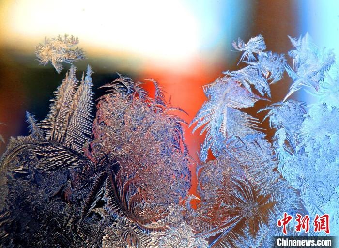 惟妙惟肖的冰窗花，似一幅風景畫?！O書程 攝