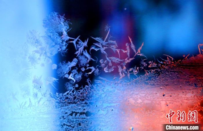 點點冰花像一個個小精靈?！O書程 攝