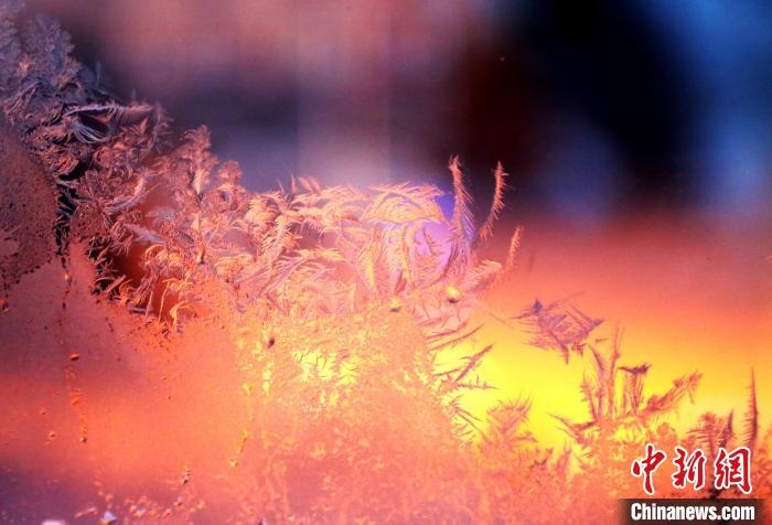 迎著光亮，冰窗花絢麗多姿。　孫書程 攝