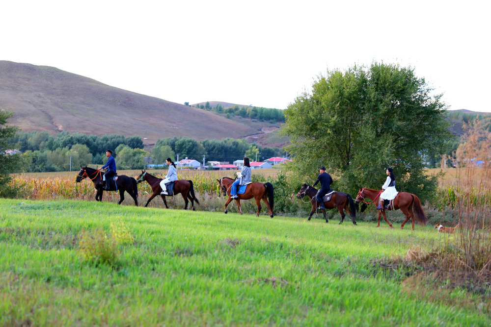 輝煌“十四五”奮進(jìn)的答卷 ∣ 葛根廟鎮(zhèn)開(kāi)啟“重走騎兵路”紅色主題騎行線(xiàn)路