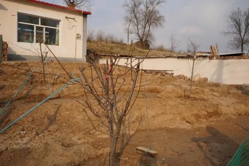 1586343979157200.jpg 微信圖片_20200408190504.jpg