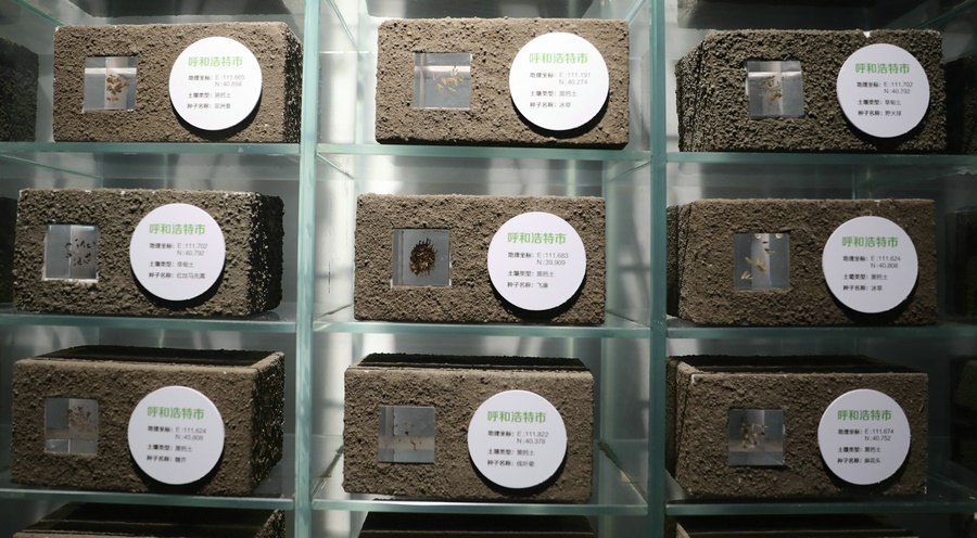 1615984772834987.jpg 7O5A4286.JPG