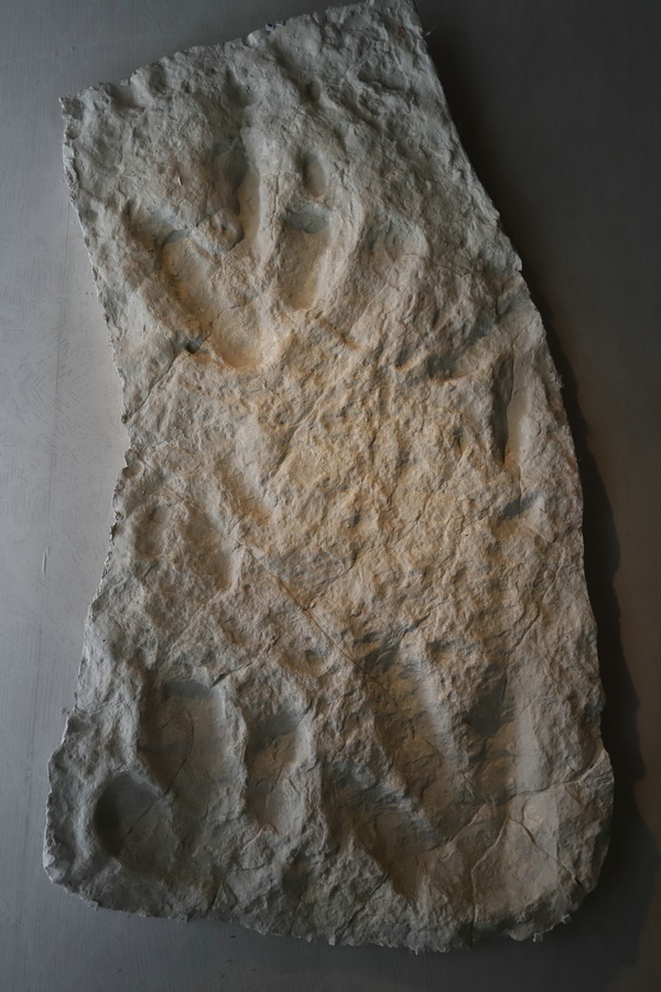 1621331744207855.jpg 恐龍足跡.JPG