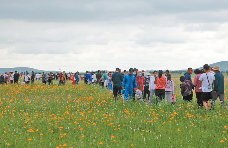 1627870876871405.jpg 00300501699_83257cd6.jpg