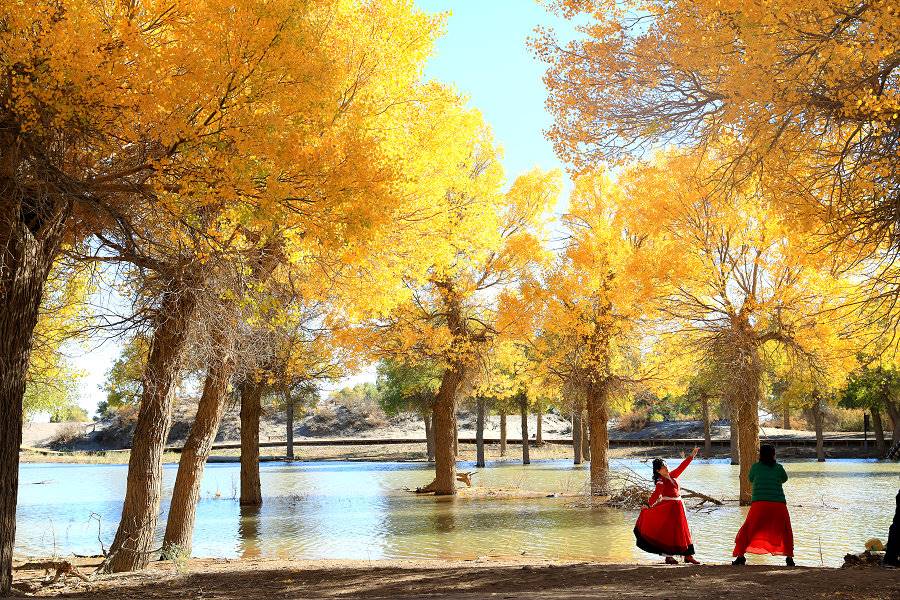 1633877269413965.jpg 7O5A7267.JPG