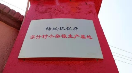 1648440705395763.png 黃合少鎮(zhèn)蘇計(jì)村小雜糧加工基地簡(jiǎn)介(4)(1)1112.png