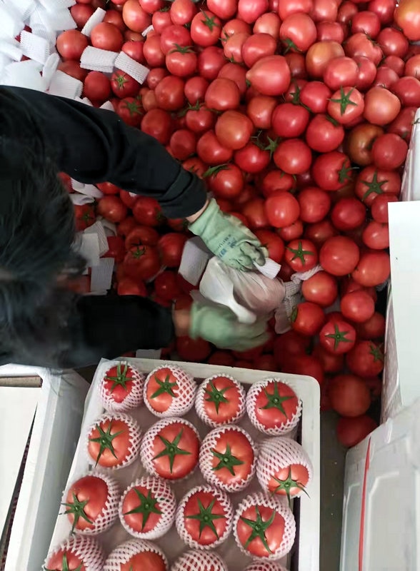 1649669178129697.jpg 微信圖片_20220411172247.jpg