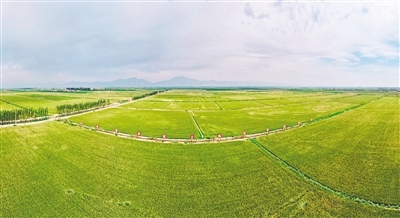 1661395062118337.jpg 00300582890_d4cbfec9.jpg