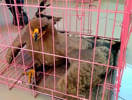 1667635828124589.jpg 微信圖片_20221105160206_副本.jpg