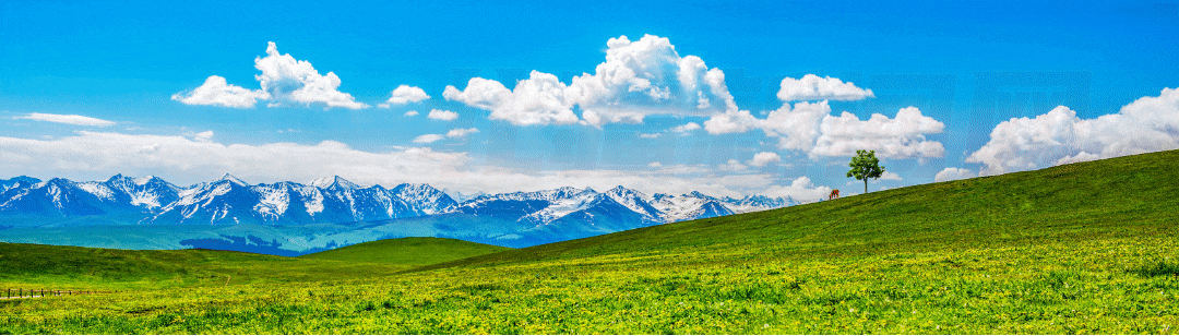 1668571088742599.gif 640.gif