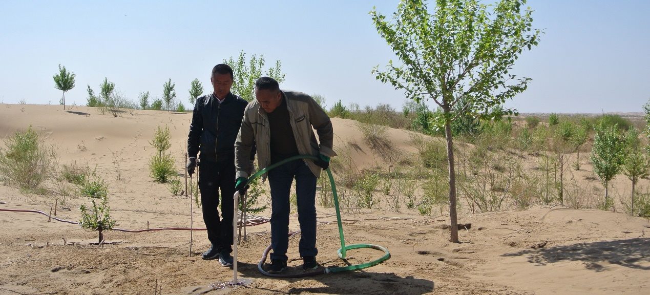 1685955534393181.png 003.png