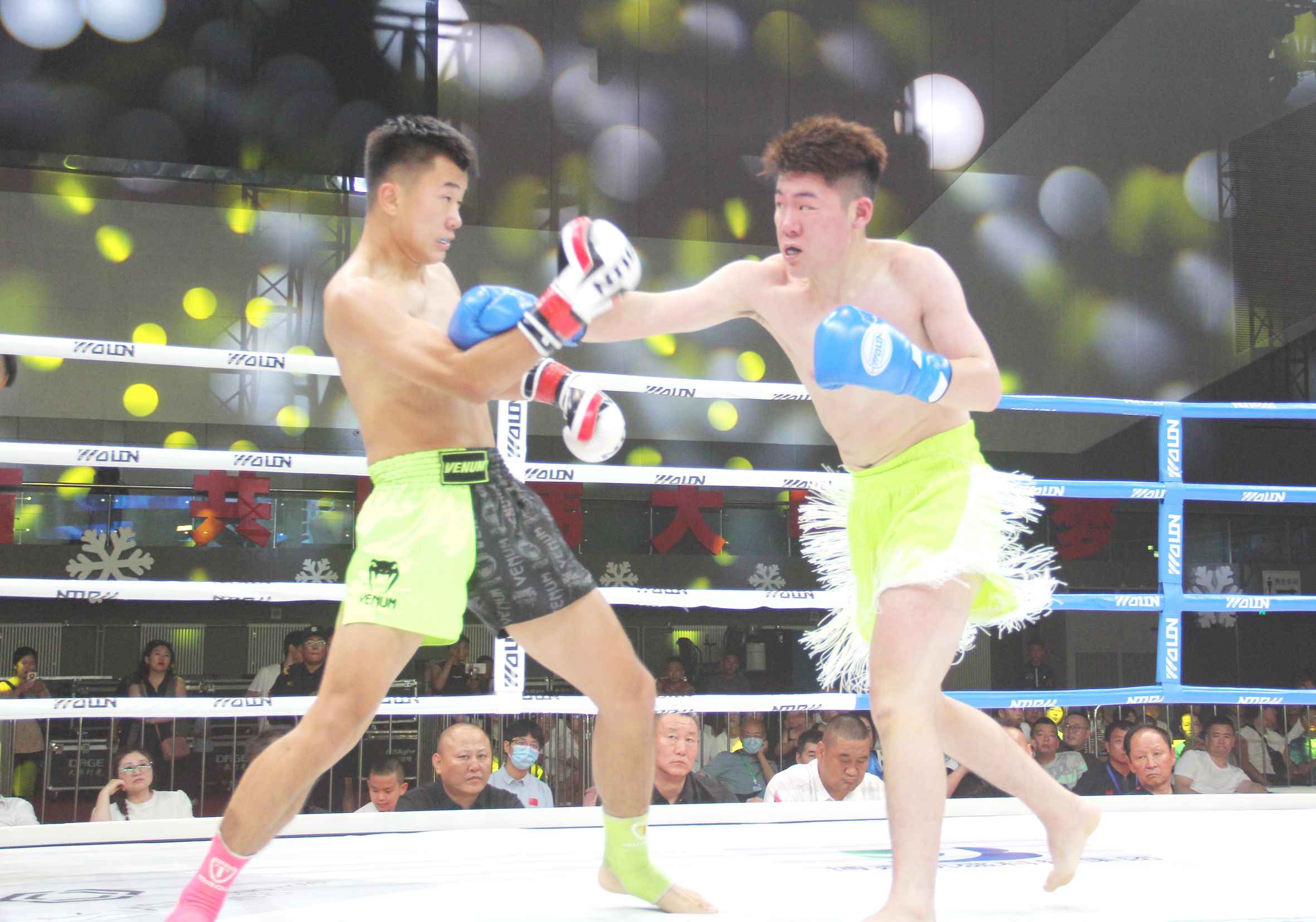 1690114386131849.jpeg 1690114386131849.jpeg