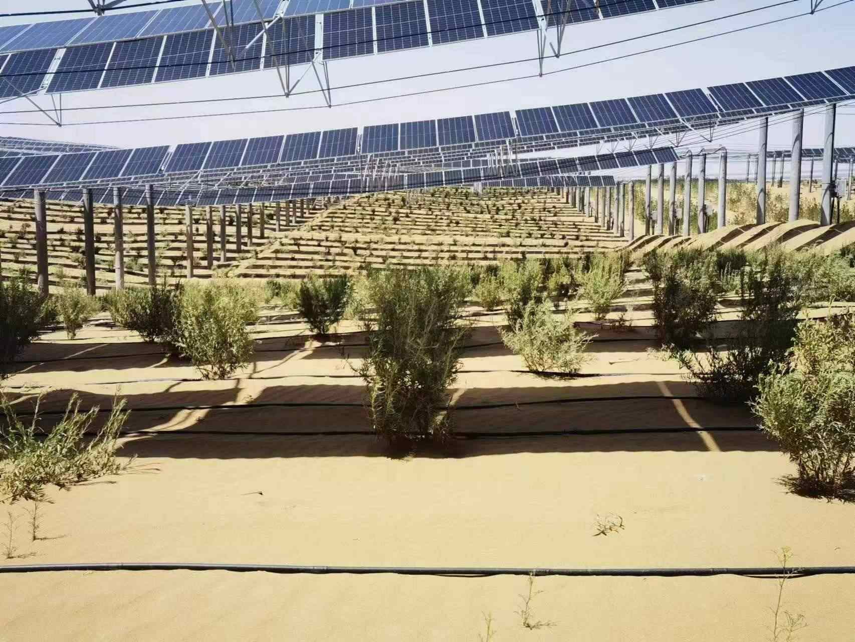 1695877966246270.png 1695877966246270.png