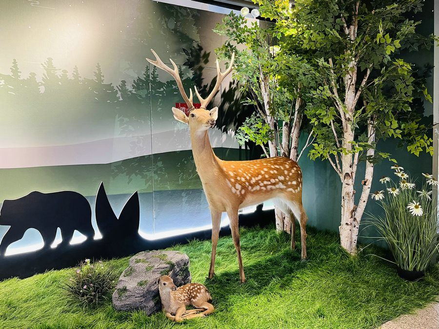 1700132611118853.png 生態(tài)文學(xué) (6).png