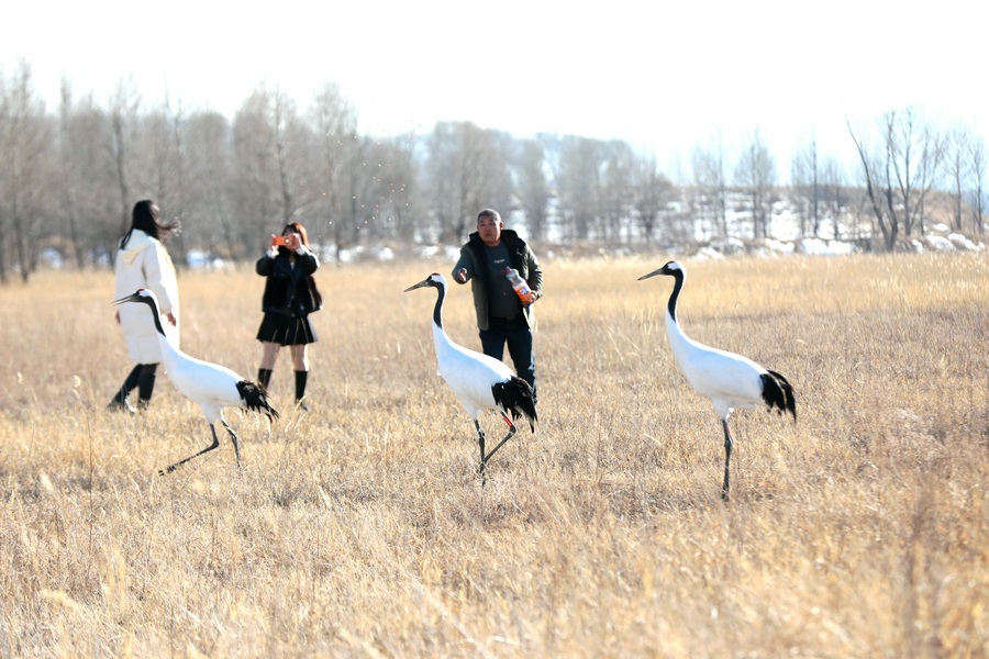 1708164498531528.jpg 7O5A4911.JPG