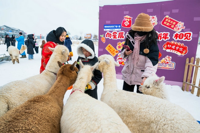 1708326120137886.jpg 3 (1).jpg