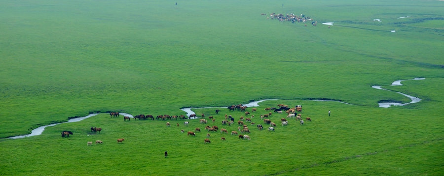 1721031935867391.jpg 科爾沁沙地殲滅戰(zhàn)興安盟科右中旗“南三蘇木”治理區(qū)防沙治沙工程建設(shè)活動(dòng)現(xiàn)場(chǎng)(攝影:包寶音德力格爾).JPG