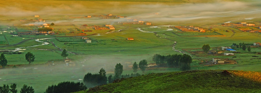 1721032352722546.jpg 在“螞蟻森林”項(xiàng)目區(qū),群眾攜手共添新綠(攝影:刁博禹).jpg