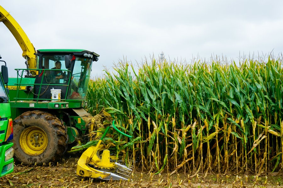 1727059131119331.jpg _DSC1936.jpg