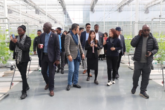 1727084999939168.png 北京大學(xué)“東方獎(jiǎng)學(xué)金”學(xué)員參訪團(tuán)在鄂爾多斯為“東方友誼林”種下新樹(shù)苗189.png