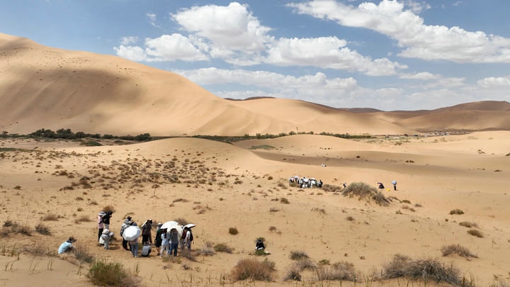 1727315456902892.jpg 2 (1).jpg