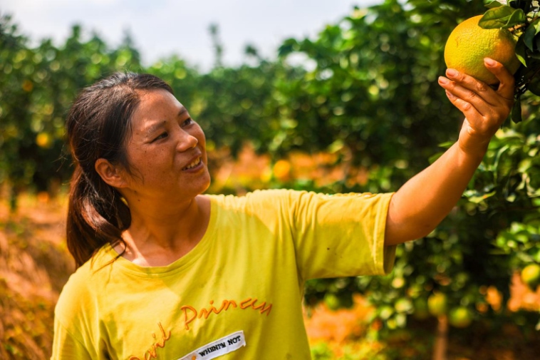 1729427070945580.png 圖片48.png