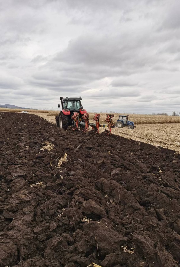 1729653650105698.png 1.png