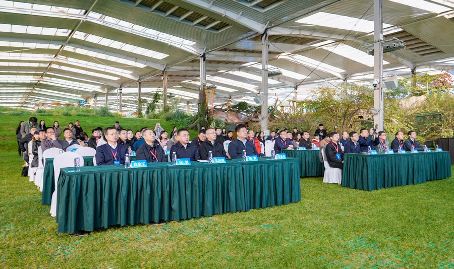 1730872251705419.png IMG_0835.PNG