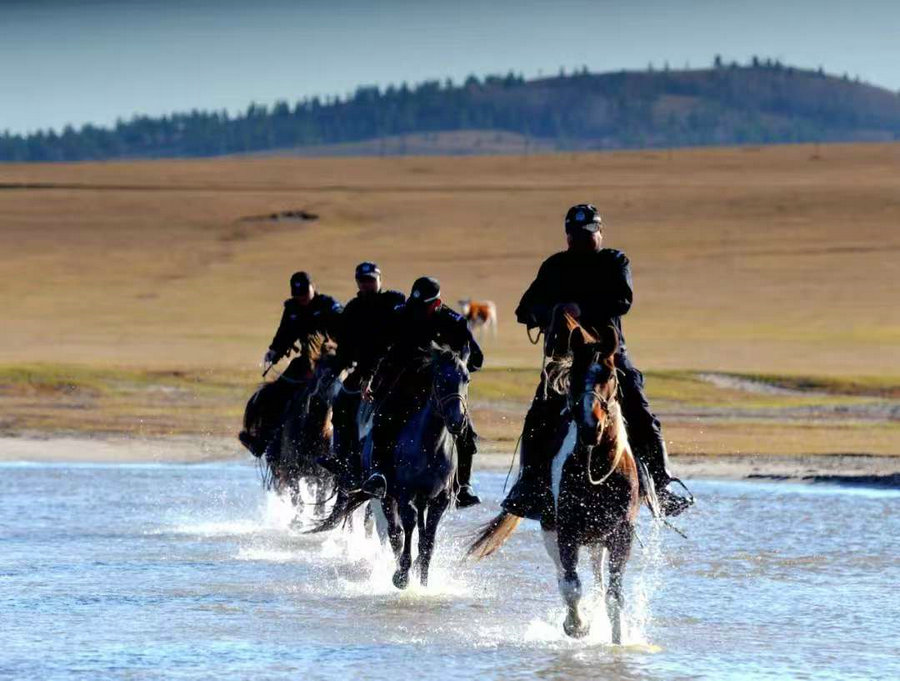 1734675826785803.jpg 微信圖片_20241220141955.jpg