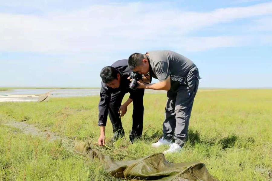 1734675844124538.jpg 微信圖片_20241220142002.jpg