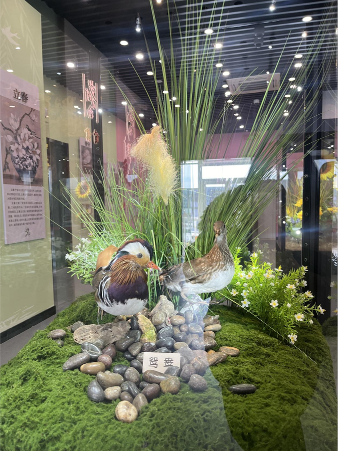 1737510689884819.png 222.png