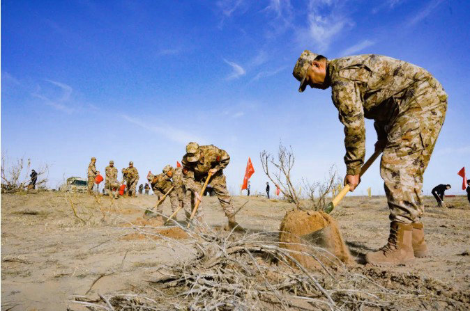 1741822351127899.jpg 植樹(shù).jpg