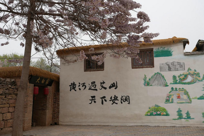 1744420684146738.jpg 東阿4.jpg