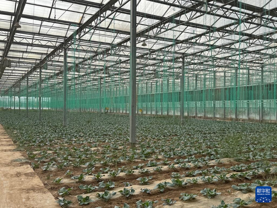 1746337350621680.jpg _DSC2271.JPG