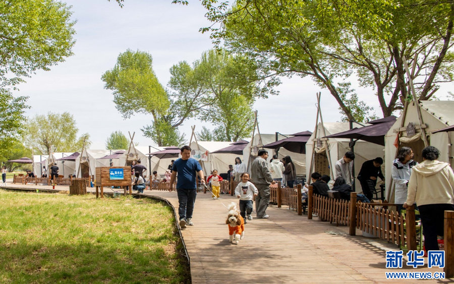 1746338270608813.jpg _DSC3188.jpg