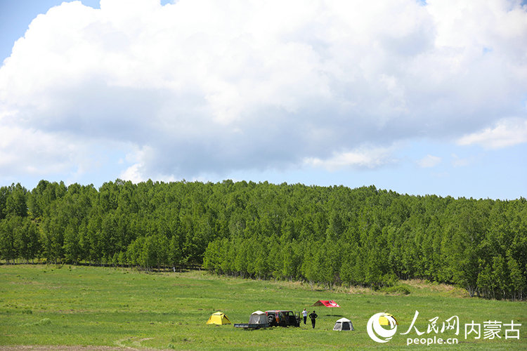 1752799033775174.jpg 林海1.jpg