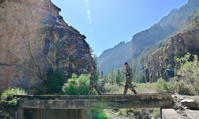 1757918137185768.jpg 護林3.jpg