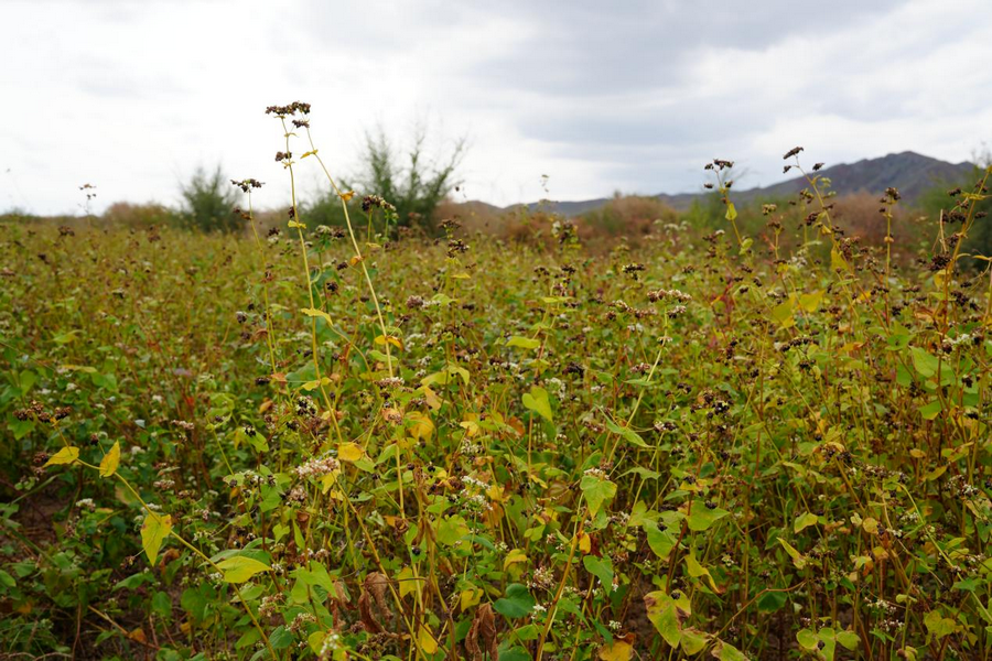 1758684679427865.png 01e87609dc7bf9a79d080c384c81fa53.png