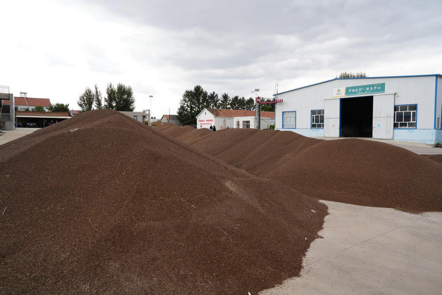 1758684836113453.png 19png.png