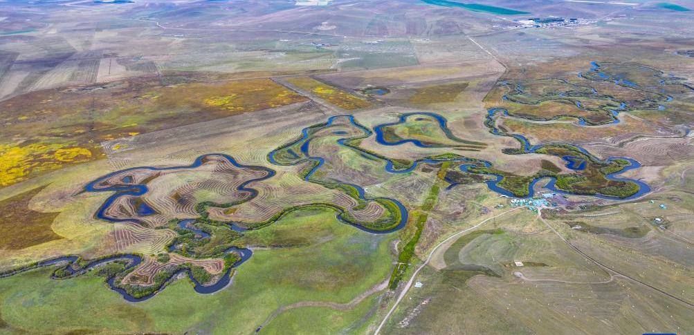 1763362859286075.jpg 新華社秋日烏拉蓋草原.jpg