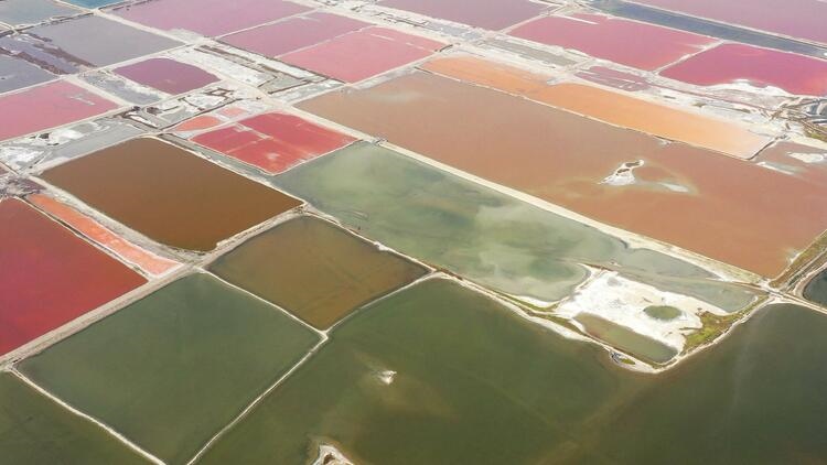 鑒往知來，跟著總書記學(xué)歷史丨走進(jìn)一座博物館，尋根五千年中華文明