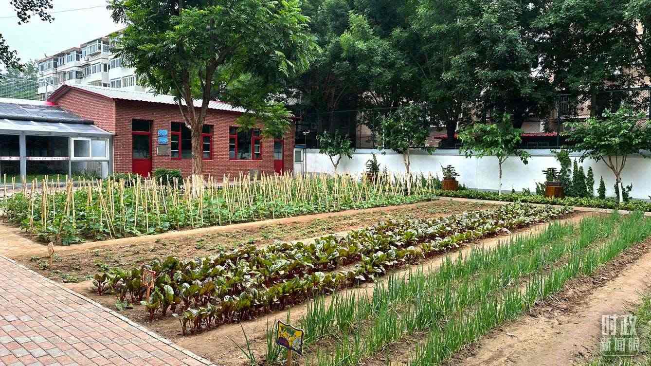 △學(xué)生農(nóng)場。（總臺(tái)央視記者趙化拍攝）