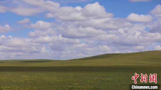 圖為點(diǎn)點(diǎn)新綠在原野上蓄勢(shì)待發(fā)。 歐戈 攝