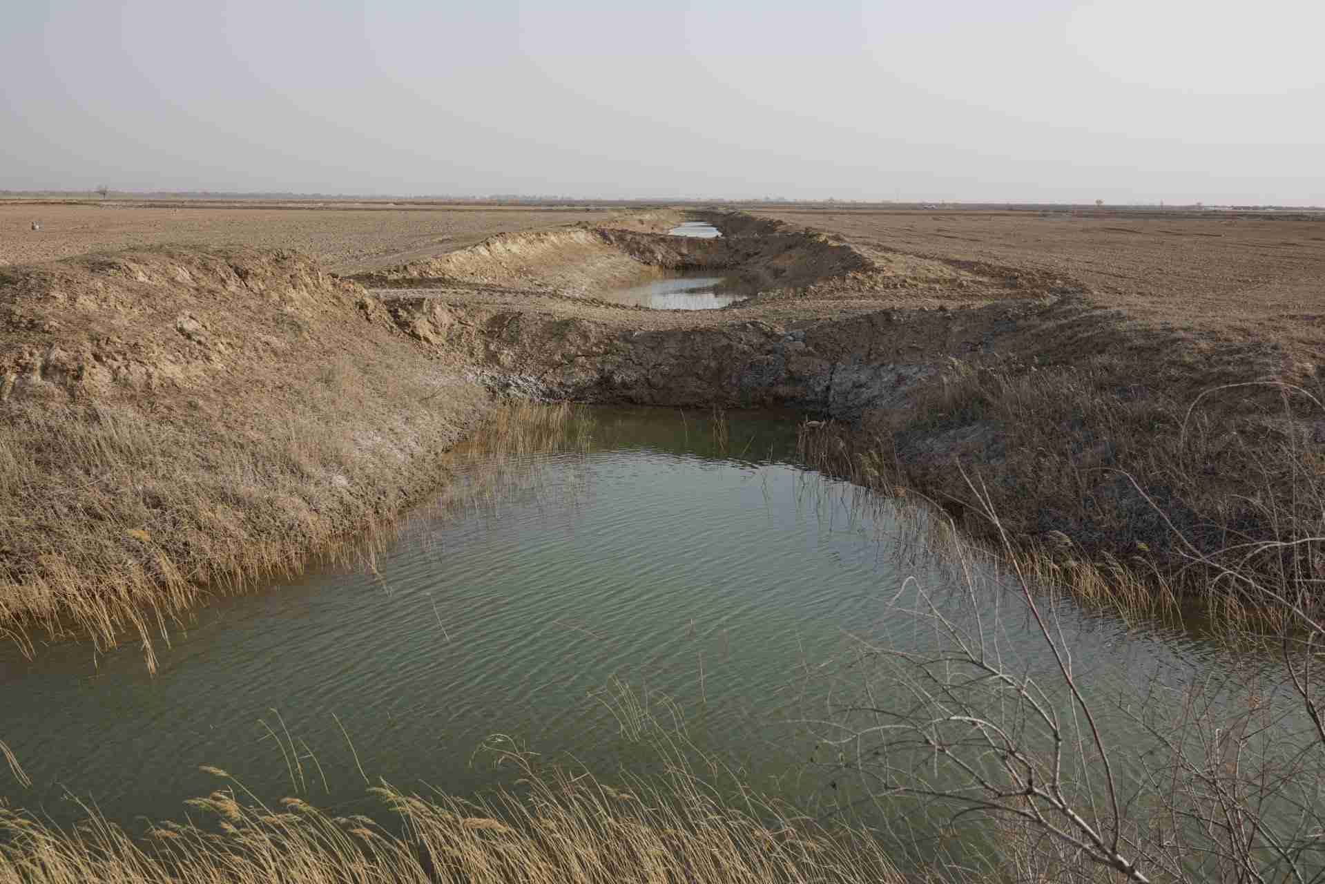 堵塞的排堿渠。 人民網(wǎng)記者 游天燚攝