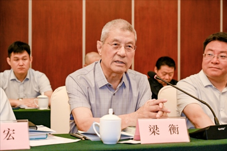 中國林業(yè)生態(tài)作家協(xié)會名譽(yù)主席梁衡發(fā)言。主辦方供圖