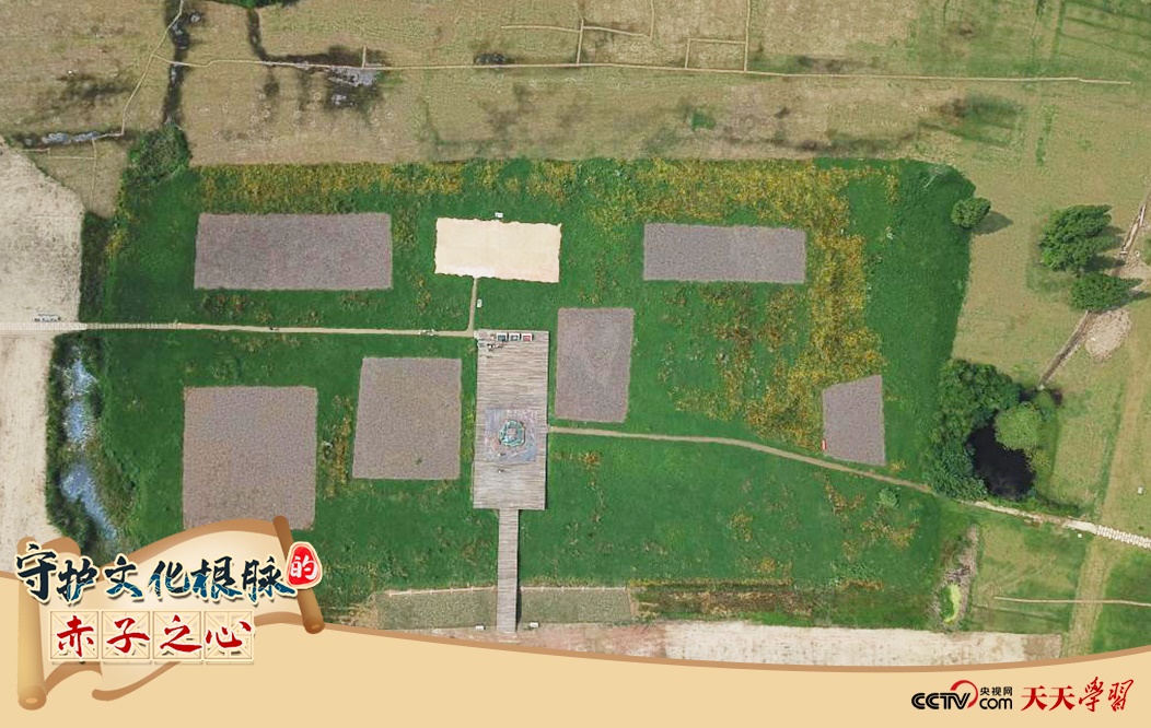 2019年6月23日無人機拍攝的良渚國家考古遺址公園的宮殿區(qū)。