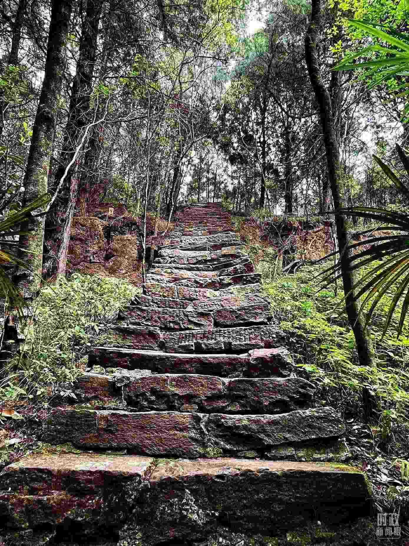 △古蜀道。（總臺(tái)央視記者郭曉龍拍攝）