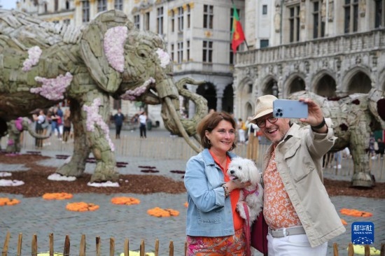 8月11日，觀眾在比利時布魯塞爾“鮮花時光”展覽上拍照。新華社記者 趙丁喆攝