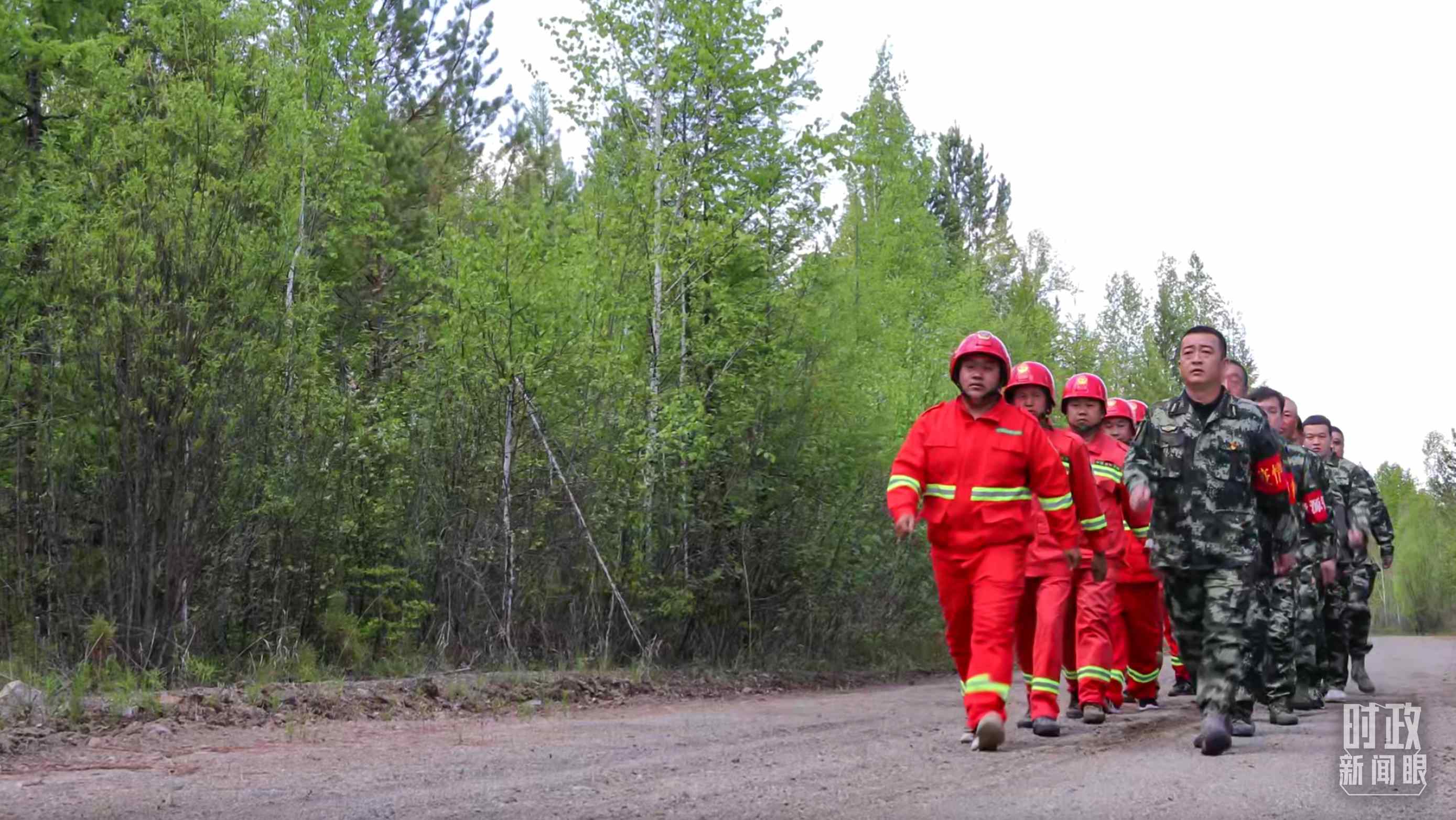 △林場里的森林巡護。