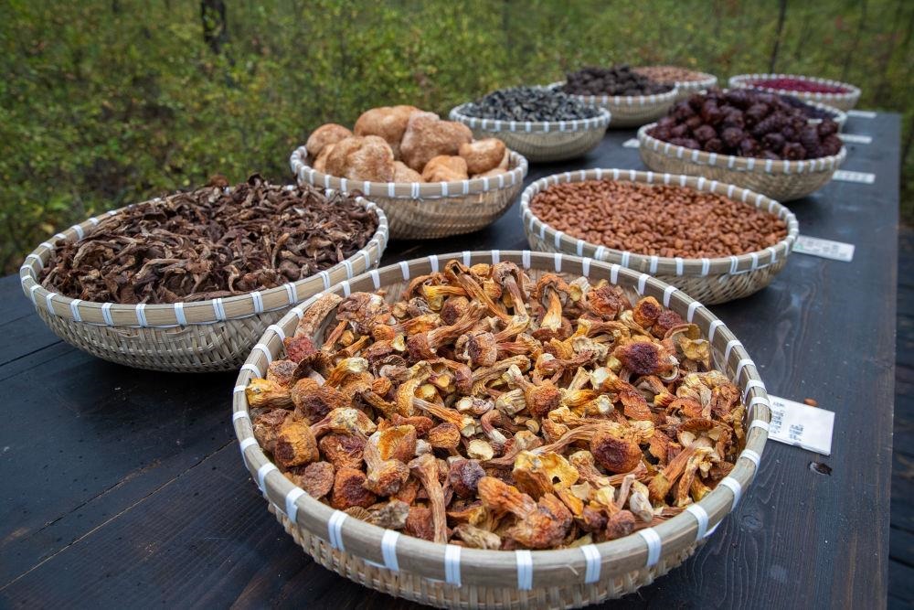 △近日，漠河市北極村一景區(qū)展示的林下產(chǎn)品。